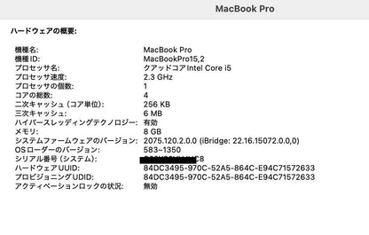 Apple MacBook Pro 2018 13インチ i5 8GB 256GB 【C4099-80】