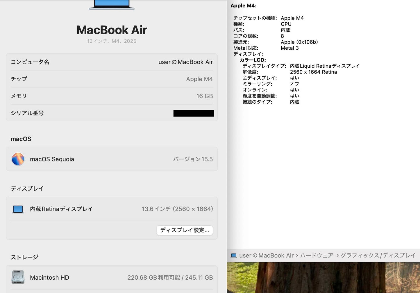Apple MacBook Air 13インチ M4 16GB 256GB MC6T4J/A バッテリー最大容量100%【C4732-80】