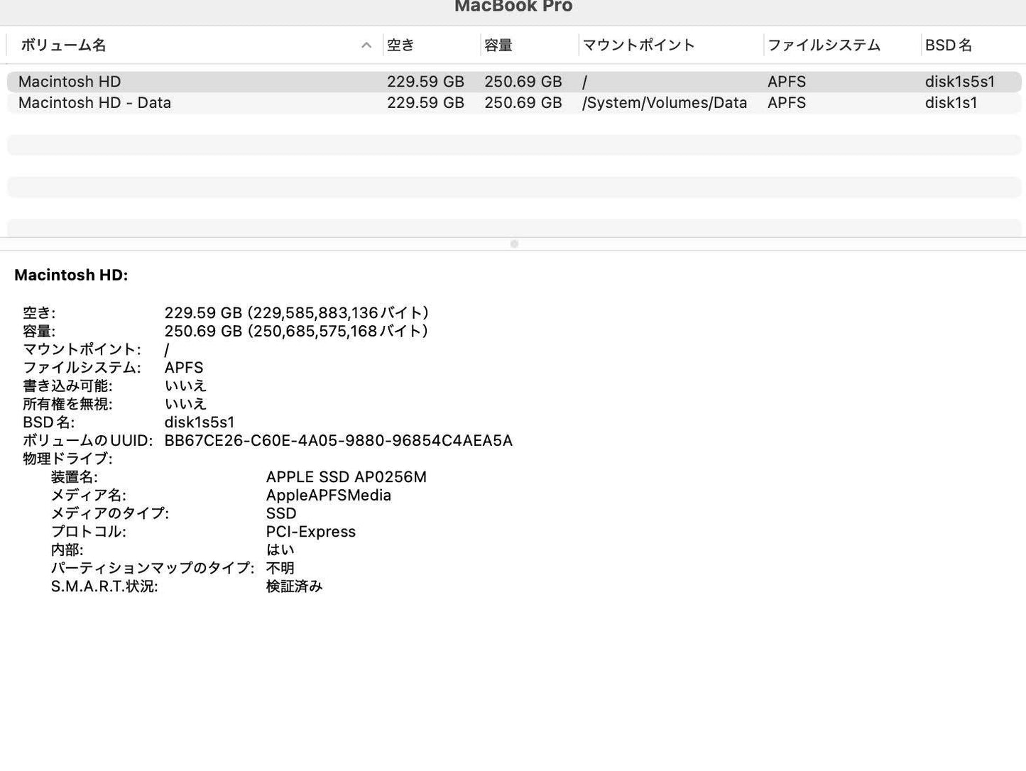 Apple MacBook Pro 13インチ 2018 i5 8GB 256GB【C6462-80】