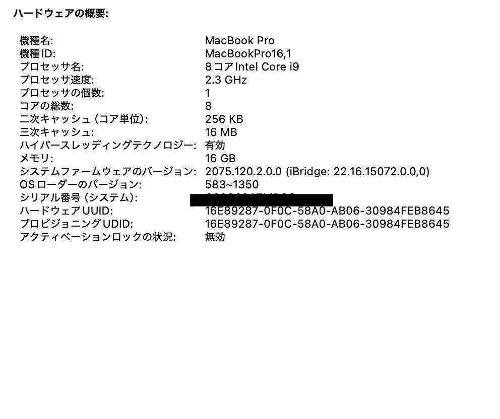 MacBook Pro 16インチ Touch Bar＋Touch ID (Late 2019) Core i9 2.3GHz/16GB/SSD 1TB シルバー MVVM2J/A【C5374-80】