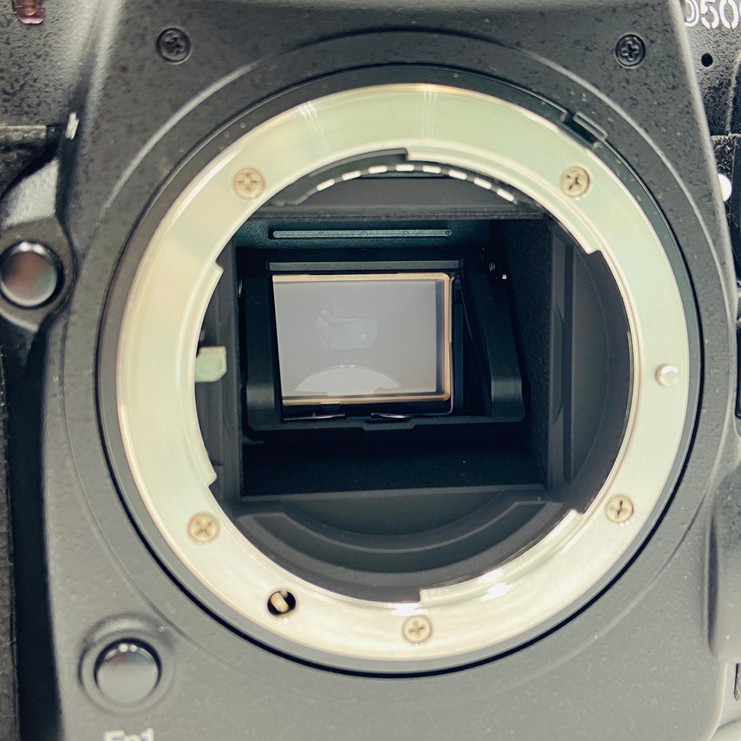 Nikon D500 16-80 VR Kit【C4020-80】