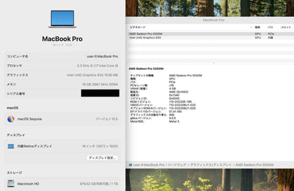 MacBook Pro 16インチ Touch Bar＋Touch ID (Late 2019) Core i9 2.3GHz/16GB/SSD 1TB シルバー MVVM2J/A【C5374-80】