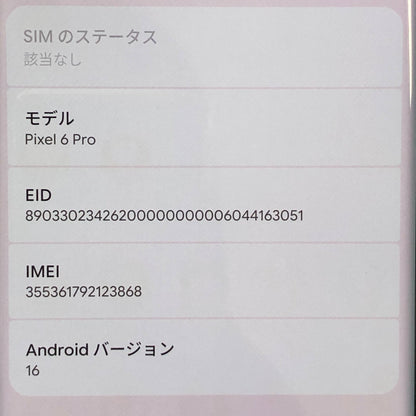 Google Pixel 6 Pro 128GB Stormy Black  GF5KQ　【C5050-C】