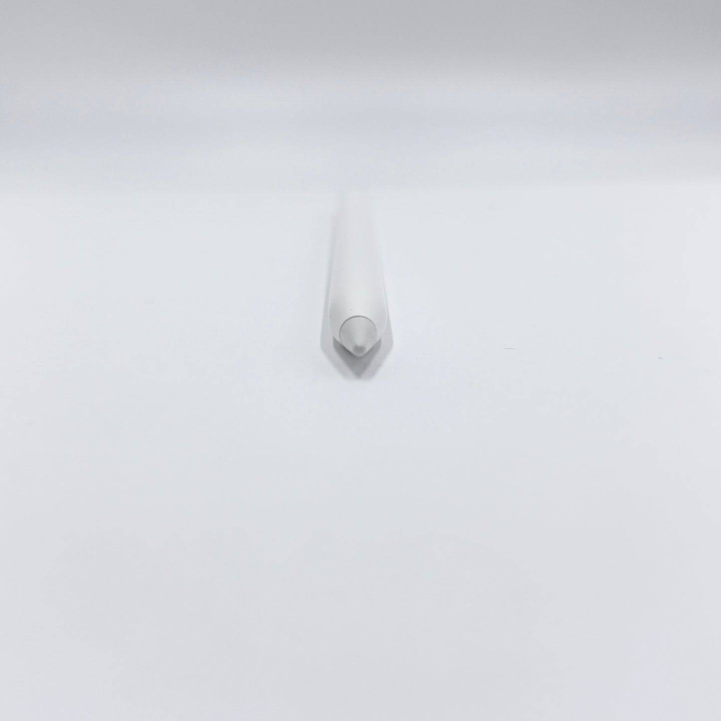 Apple Pencil 第2世代 アップルペンシル【C8118-N】