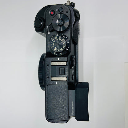 Panasonic LUMIX DMC-GX8H 高倍率ズームレンズセット C3627 80サイズ発送