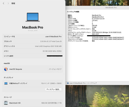 Apple MacBook Pro 15インチ 2018 2.9GHz 6コア i9 32GB SSD1TB 【C7928-80】