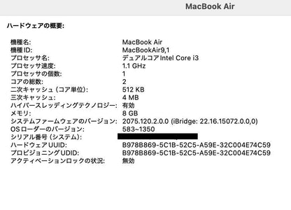 Apple MacBookAir 2020 13インチ i3 8GB 256GB 充放電回数27回【C4076-80】