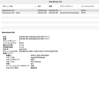 Apple MacBook Air Retina 13インチ 2020 1.1GHZ クアッドコア i5 8GB 256GB 【C4585-80】