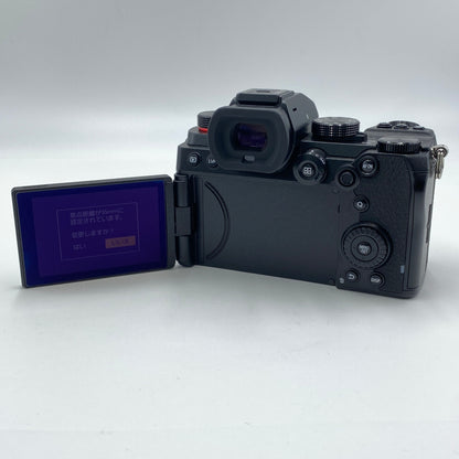 美品 パナソニック Panasonic LUMIX S5 DC-S5 ボディミラーレス一眼 【C4703-60】