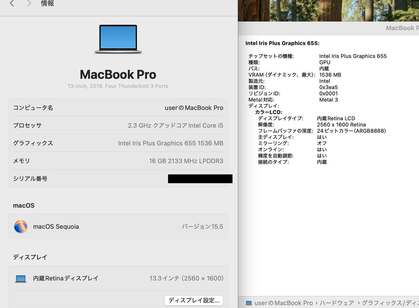 Apple MacBook Pro 13インチ 2018 i5 16GB 512GB　【C4071-80】
