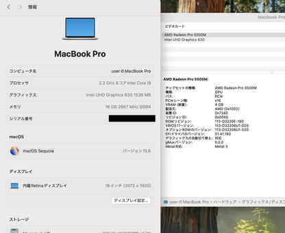 Apple MacBook Pro 16インチ 2019 i9 16GB 1TB 【C4315-80】