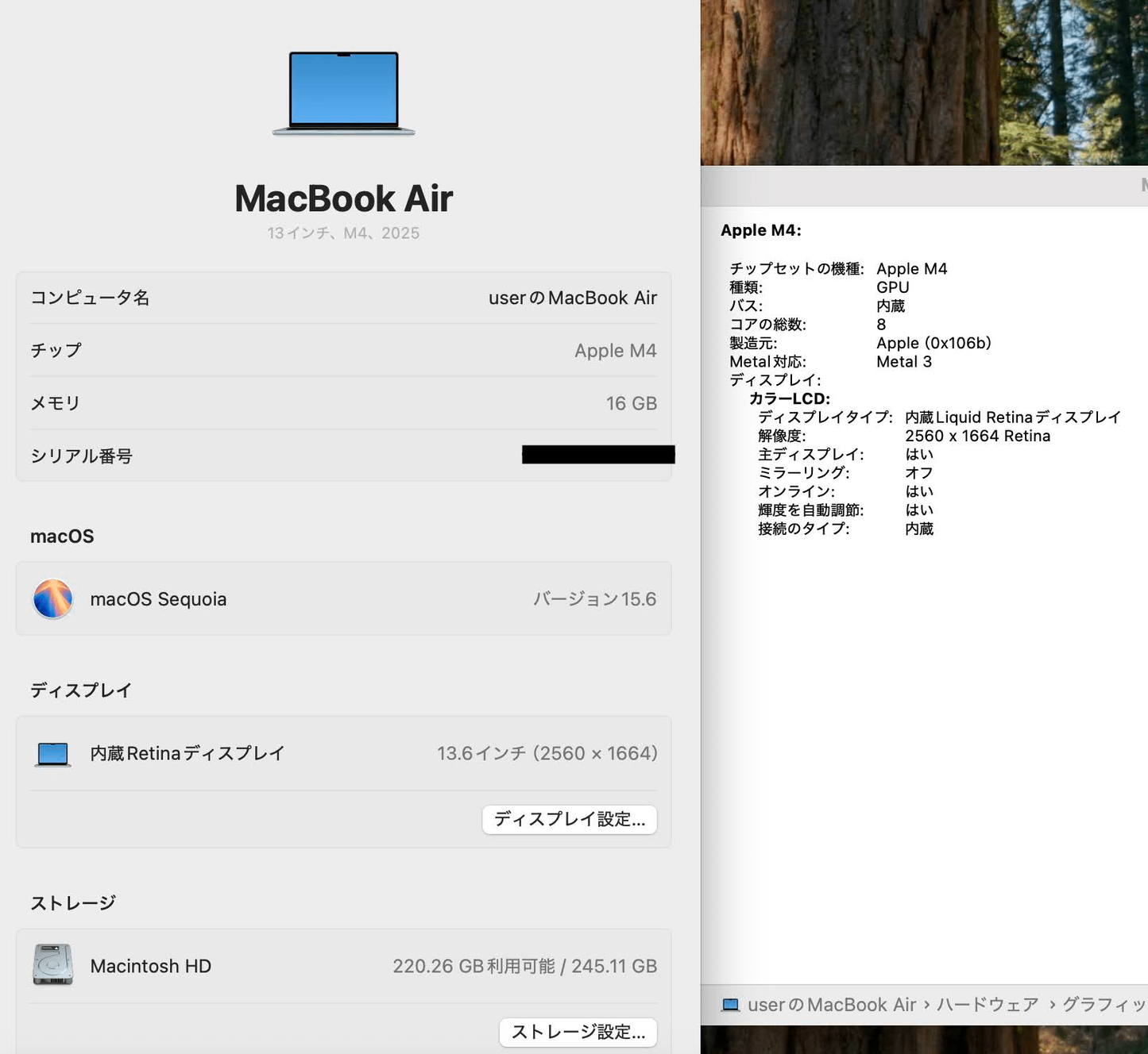 美品 Apple MacBook Air 13インチ M4 2025 MC6T4J/A M4 16GB SSD256GB バッテリー最大容量100%【C4503-80】