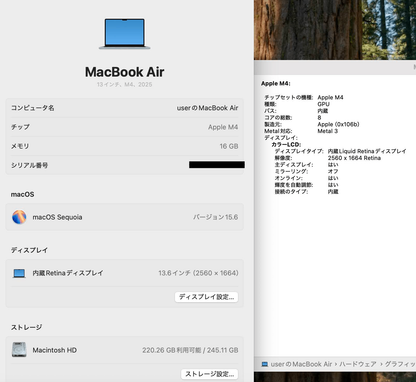 美品 Apple MacBook Air 13インチ M4 2025 MC6T4J/A M4 16GB SSD256GB バッテリー最大容量100%【C4503-80】